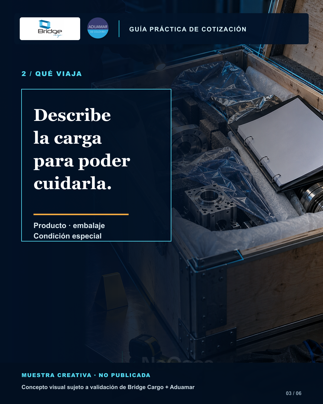 Lámina 3: producto, embalaje y condición especial de la carga