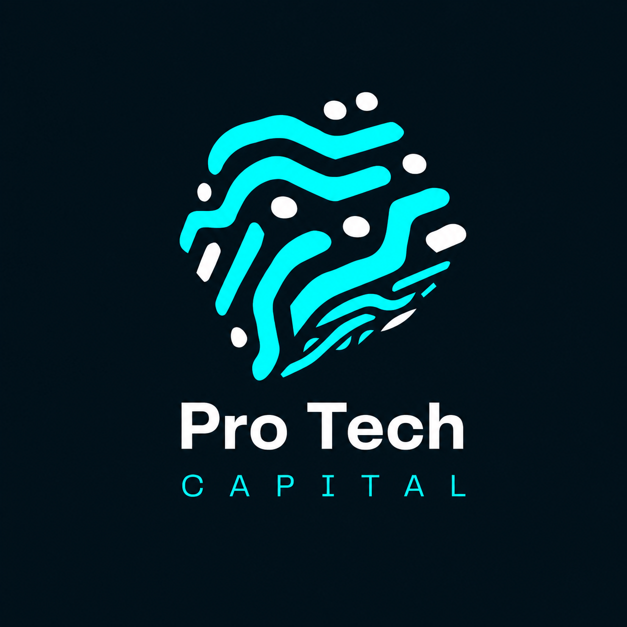 Pro Tech Capital